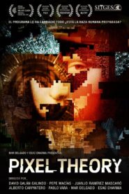 Pixel Theory 2013 one on netflix