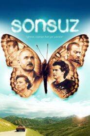 Sonsuz 2009 one on netflix