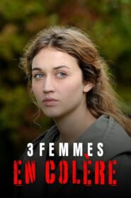 3 femmes en colère 2013 one on netflix