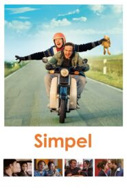 My Brother Simple 2017 one on netflix