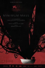 Minimum Mass 2020 one on netflix