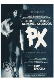 PX 1982 one on netflix