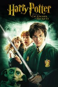 Harry Potter and the Chamber of Secrets 2002 one on netflix