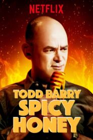 Todd Barry: Spicy Honey 2017 one on netflix