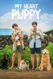 My Heart Puppy 2023 one on netflix