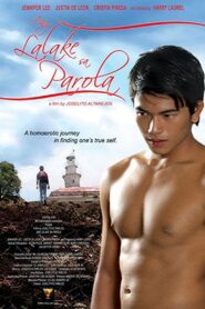 The Man in the Lighthouse 2007 one on netflix