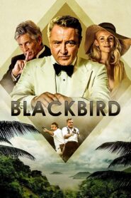 Blackbird 2022 one on netflix