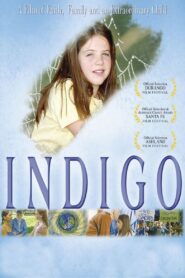Indigo 2003 one on netflix