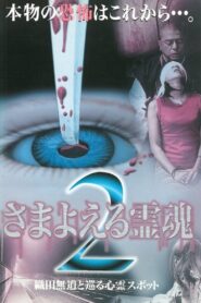 Wandering Souls 2: Exploring Haunted Spots with Oda Nobunaga 1999 one on netflix