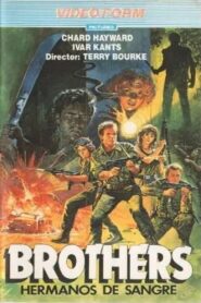 Brothers 1982 one on netflix