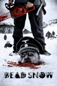 Dead Snow 2009 one on netflix