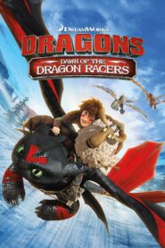 Dragons: Dawn of the Dragon Racers 2014 one on netflix