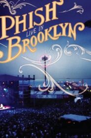 Phish: Live In Brooklyn 2004 one on netflix