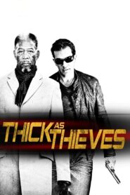Thick as Thieves 2009 one on netflix