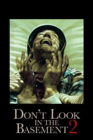 Don’t Look in the Basement 2 2015 one on netflix