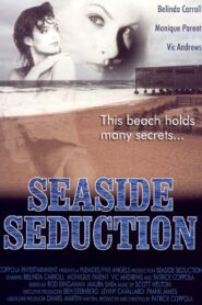 Seaside Seduction 2001 one on netflix