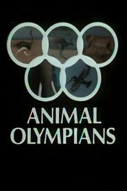 Animal Olympians 1980 one on netflix