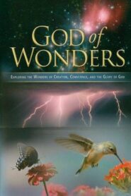 God of Wonders 2008 one on netflix