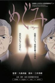 Megumi 2008 one on netflix
