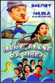 Home Alone da Riber 2002 one on netflix