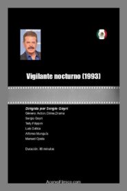 Vigilante nocturno 1993 one on netflix