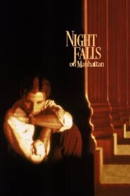 Night Falls on Manhattan 1997 one on netflix