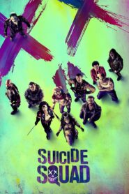 Suicide Squad 2016 one on netflix