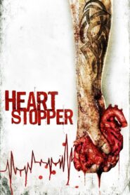 Heartstopper 2006 one on netflix