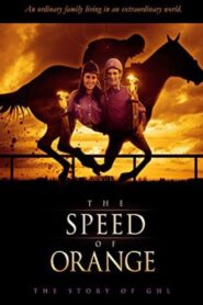 The Speed of Orange 2012 one on netflix