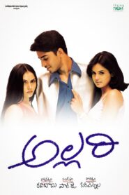 Allari 2002 one on netflix