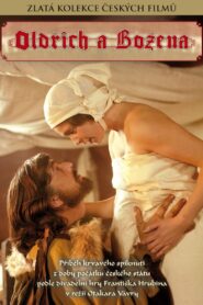 Oldrich and Bozena 1985 one on netflix