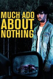 Much Ado About Nothing 2016 one on netflix