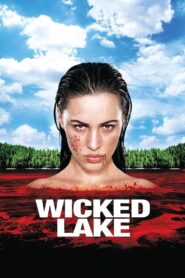 Wicked Lake 2008 one on netflix