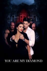 You Are My Diamond 2023 one on netflix