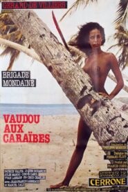Brigade mondaine: Vaudou aux Caraïbes 1980 one on netflix