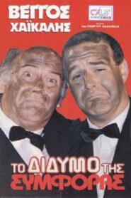 To didymo tis symforas 1989 one on netflix