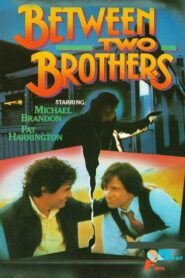 Between Two Brothers 1982 one on netflix