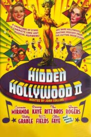 Hidden Hollywood II: More Treasures from the 20th Century Fox Vaults 1999 one on netflix