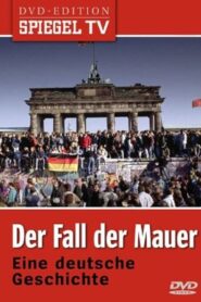 Der Fall der Mauer 2005 one on netflix