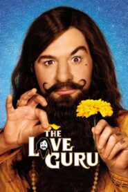 The Love Guru 2008 one on netflix