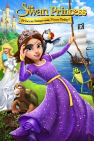 The Swan Princess: Princess Tomorrow, Pirate Today! 2016 one on netflix