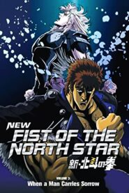 New Fist of the North Star: When a Man Carries Sorrow 2004 one on netflix