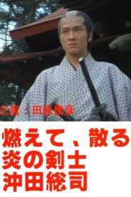 Okita Soji: Swordsman of Fire 1984 one on netflix