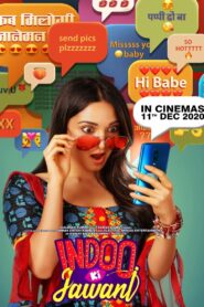 Indoo Ki Jawani 2020 one on netflix