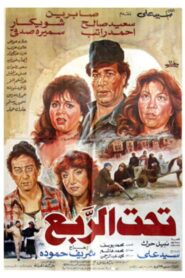 Under a Quarter 1991 one on netflix