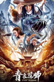Cyan Wizard 2019 one on netflix