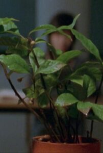 Deep or Quiet 1998 one on netflix