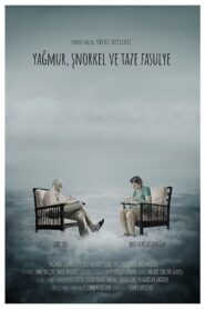 Rain, Snorkel & Green Beans 2020 one on netflix