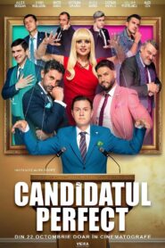 The Perfect Candidate 2024 one on netflix