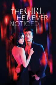 The Girl He Never Noticed 2022 one on netflix